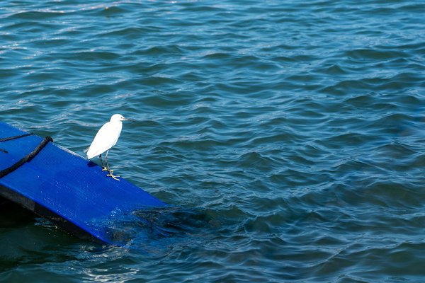 Hématome : solutions rapides et efficaces contre les bleus et bosses