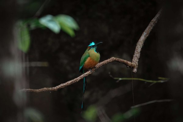 Titre : "La respiration rythmique : un souffle d'air frais pour votre bien-être