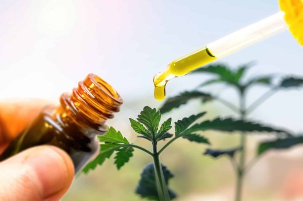 Quels sont les avantages de l'huile de CBD ?