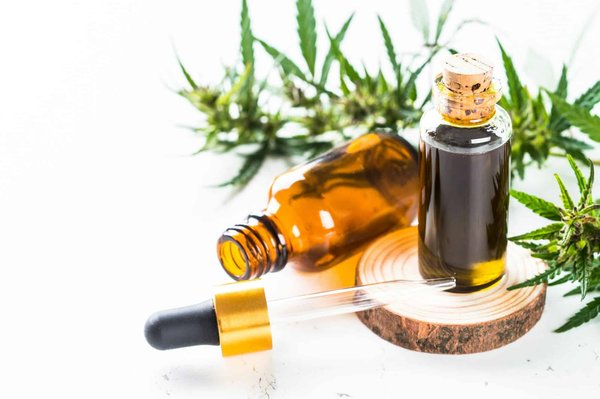 Informations sur le chanvre : Les bons conseils pour vivre sainement avec ce produit